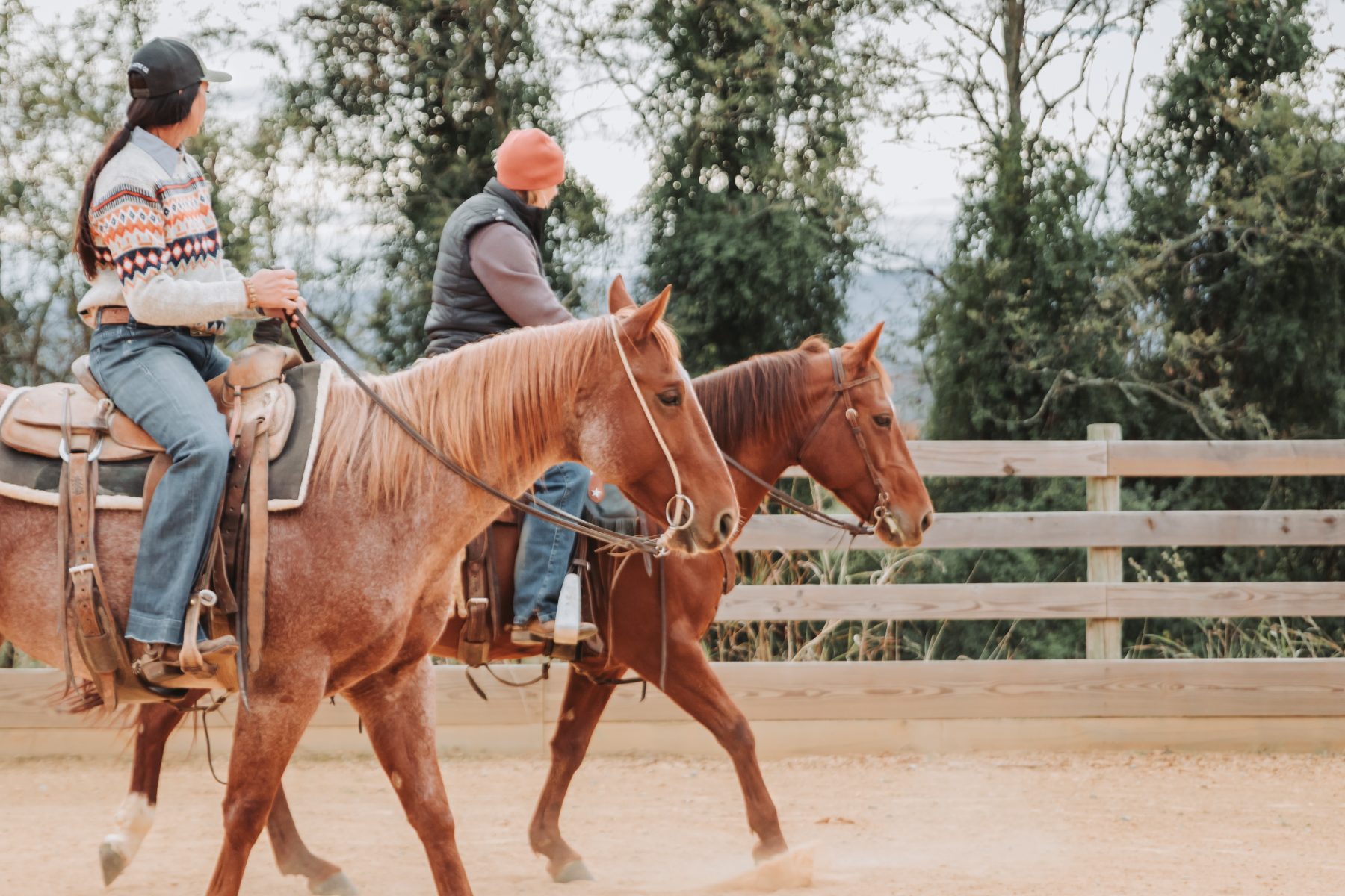 Two riders schooling side by side in the arena at Gracewood Acres, golden hour