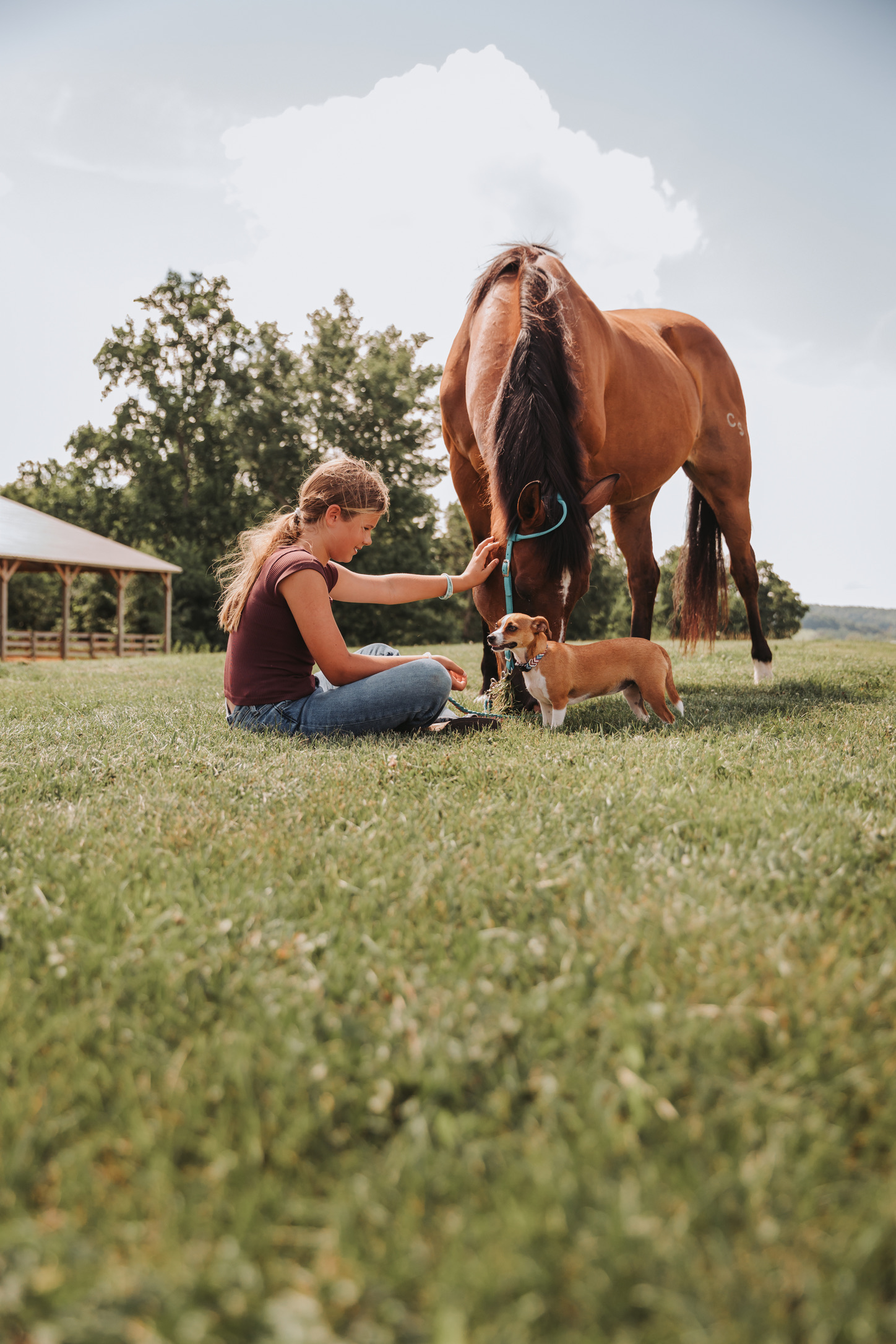 A young rider sitting with a grazing horse and a farm dog