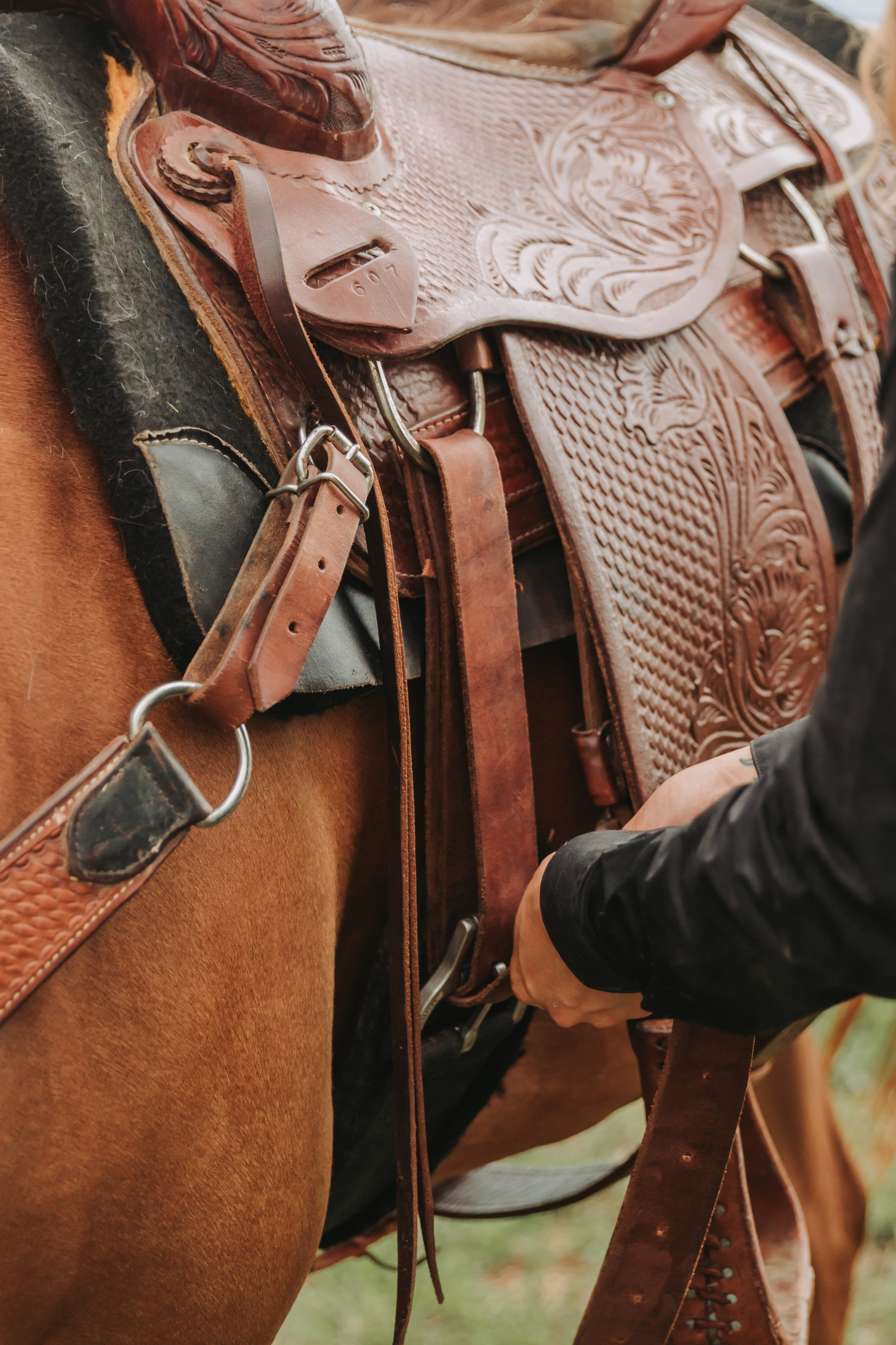 Cinching up a tooled western saddle