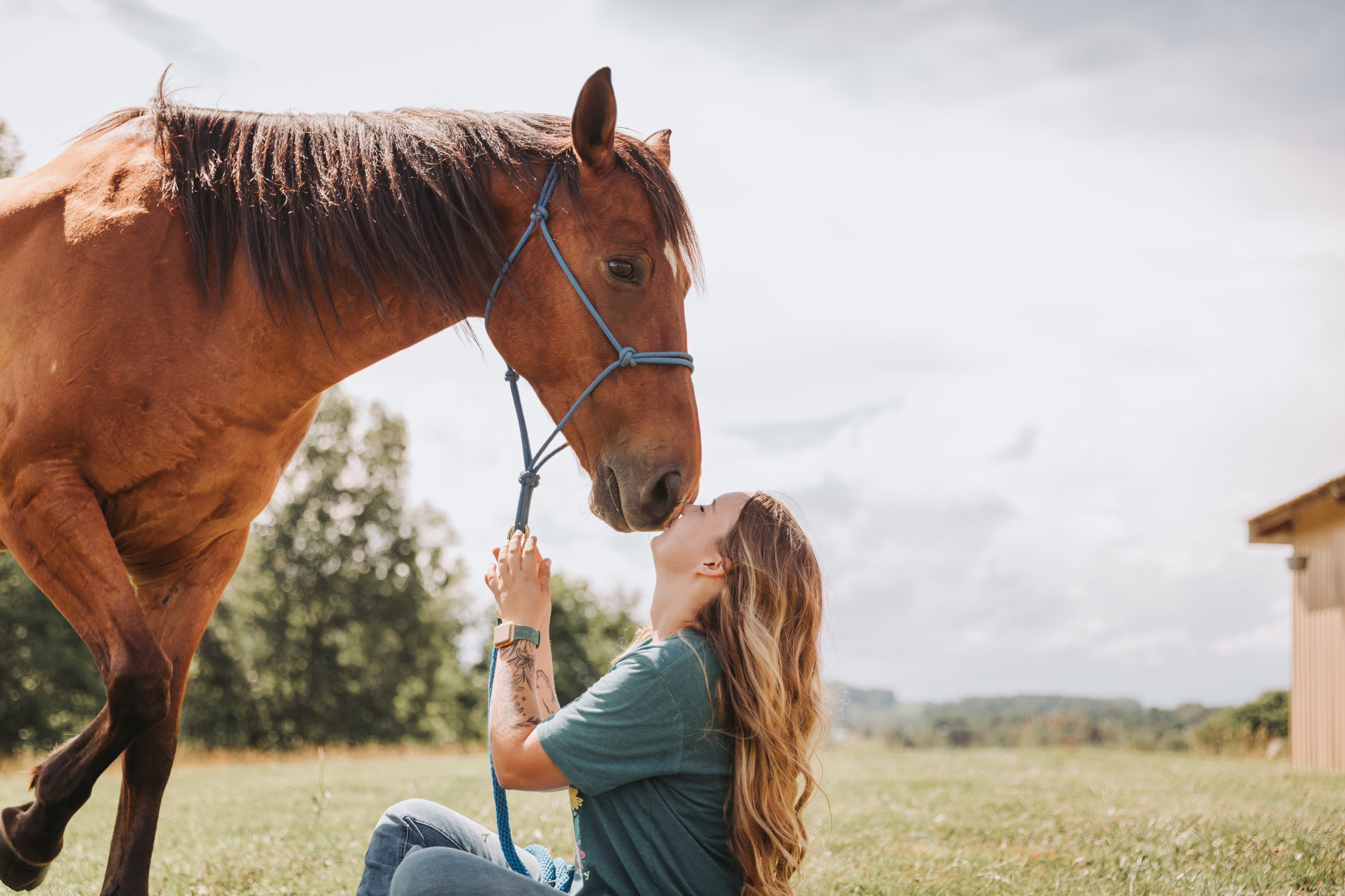 A rider greeting a bay horse nose-to-nose