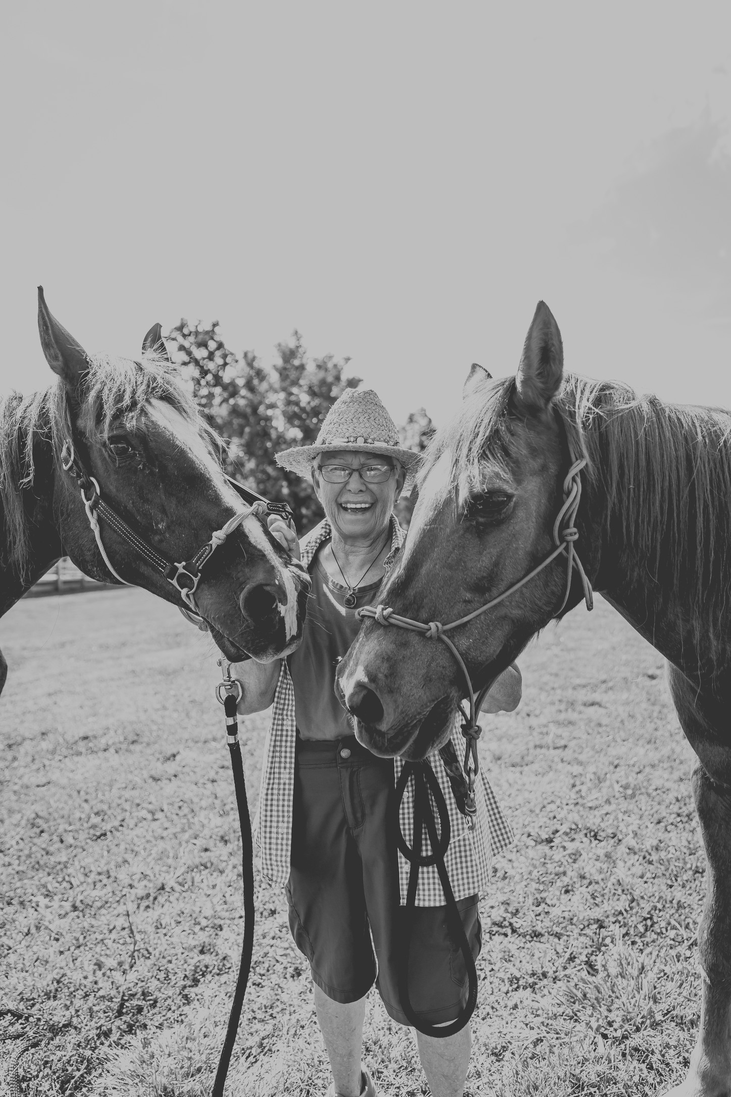 A rider between two horses on a sunny day