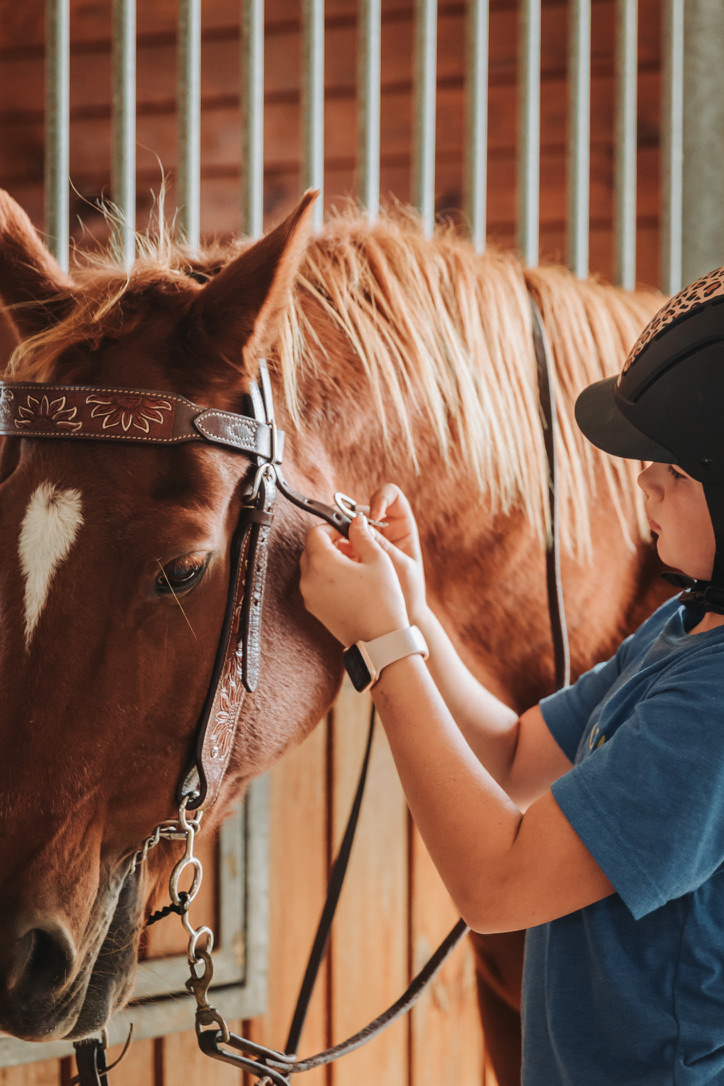 A young rider bridling a horse in the barn
